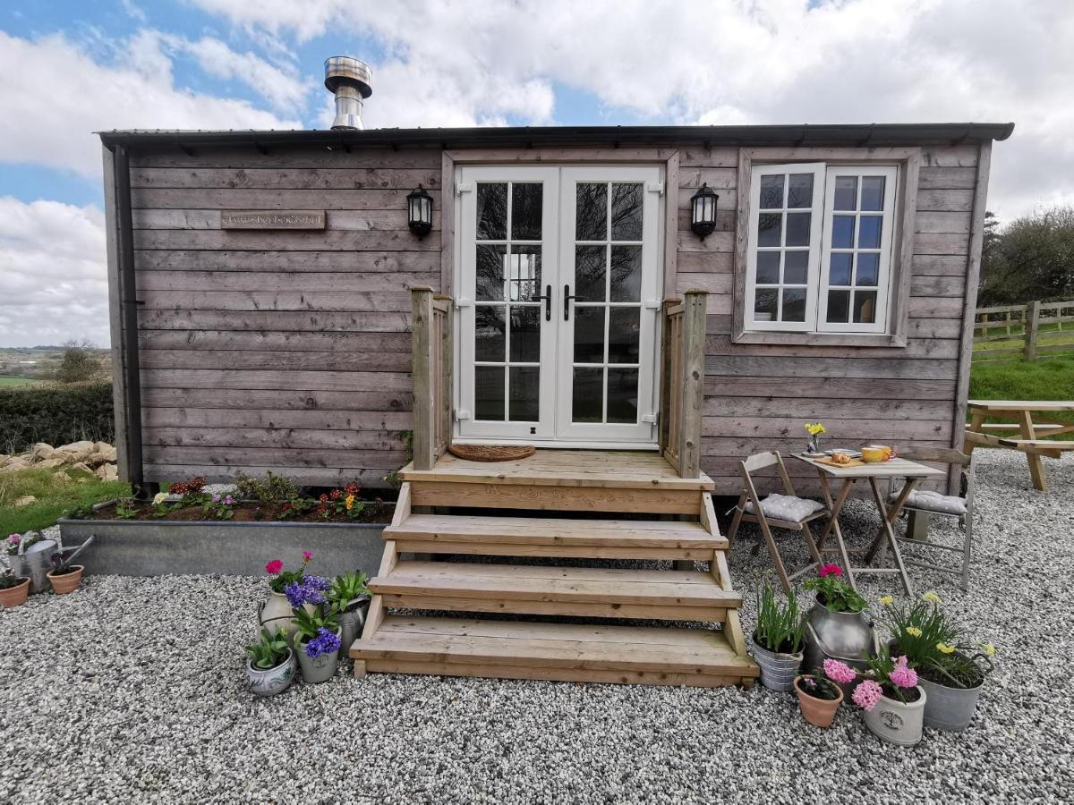 Elvan Farm Shepherd'S Hut Villa Exeter Exterior photo
