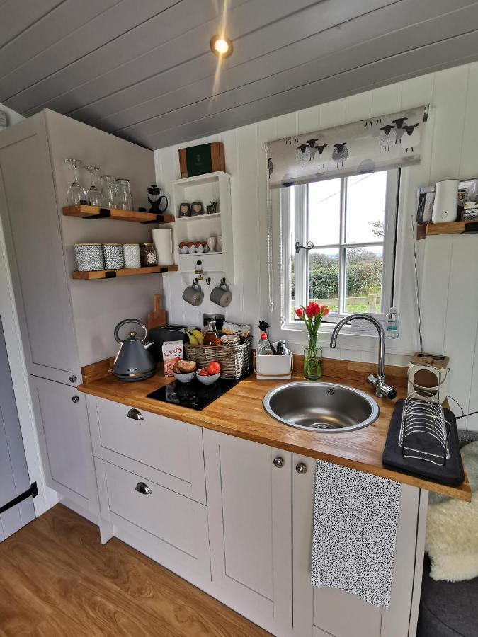 Elvan Farm Shepherd'S Hut Villa Exeter Exterior photo