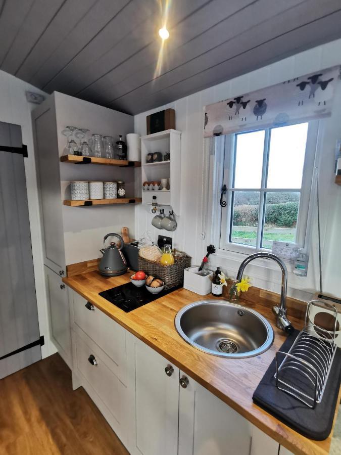 Elvan Farm Shepherd'S Hut Villa Exeter Exterior photo
