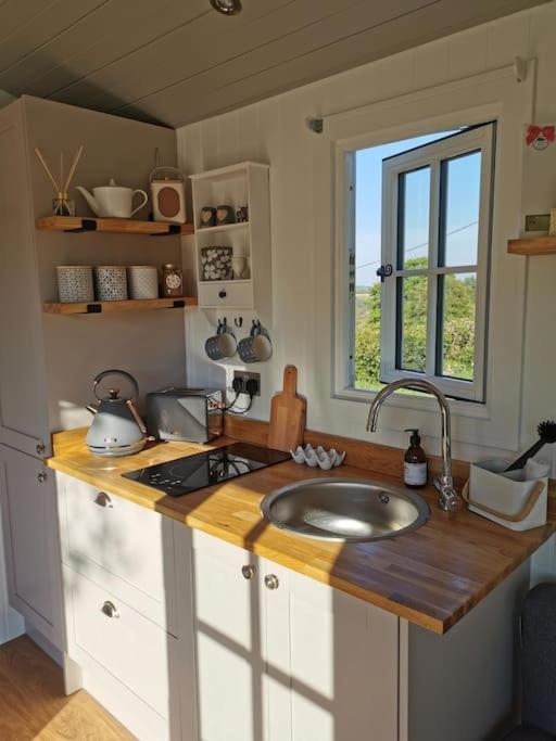 Elvan Farm Shepherd'S Hut Villa Exeter Exterior photo