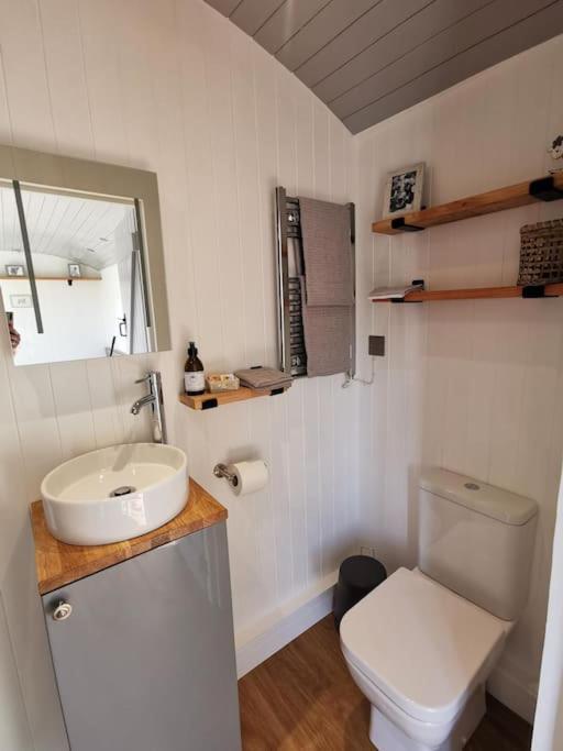 Elvan Farm Shepherd'S Hut Villa Exeter Exterior photo